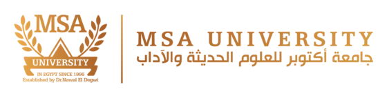 MSA University